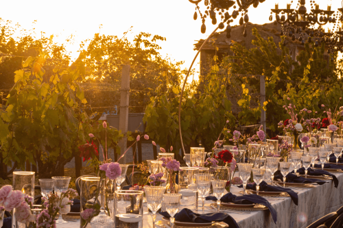 Cena romantica in vigna