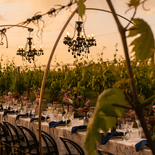 Cena in vigna tavolata Olivella