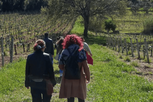 Orme d'uva visite autunno