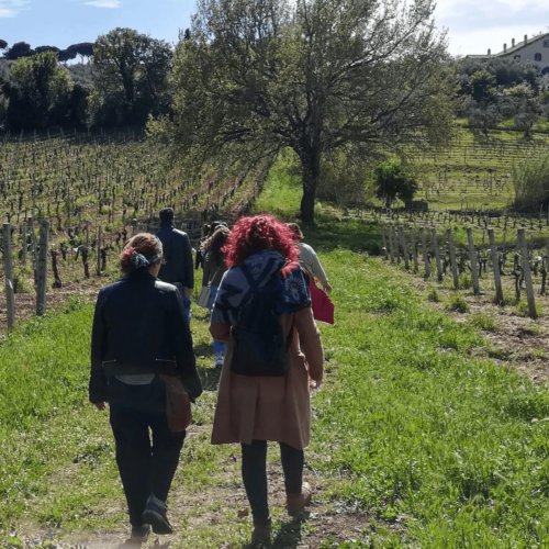 Orme d'uva visite autunno